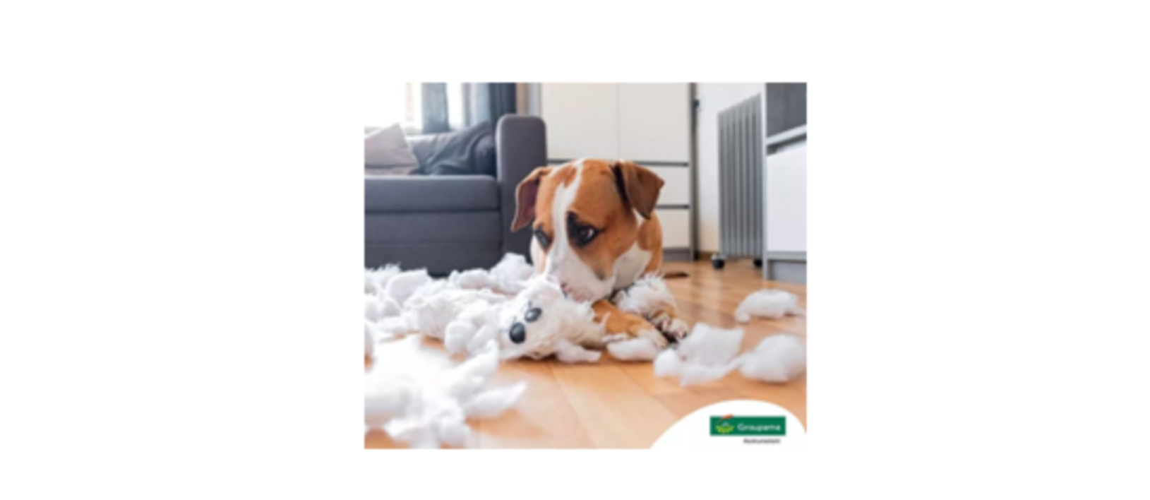 COSA COPRE L’ASSICURAZIONE DEL CAPOFAMIGLIA