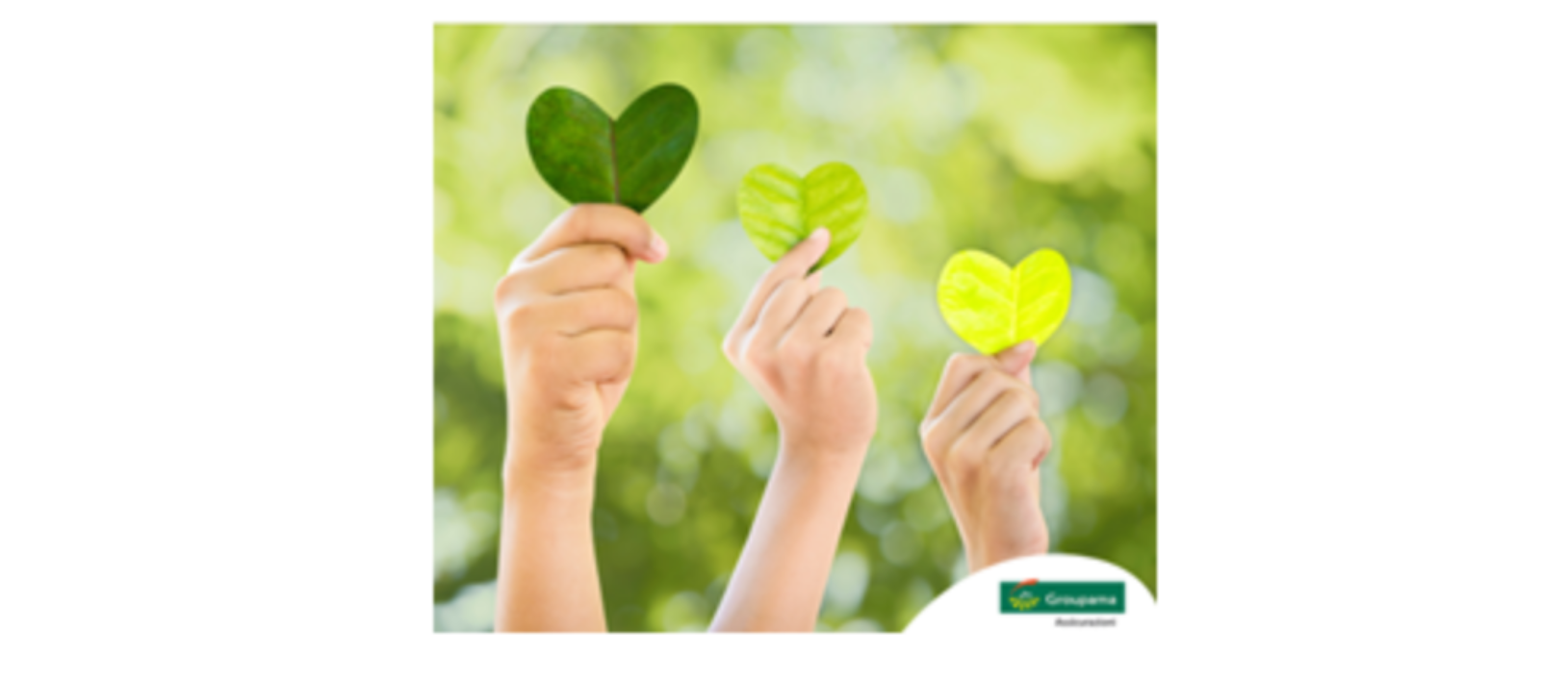 Dimensione Multivalore Futuro Sostenibile,